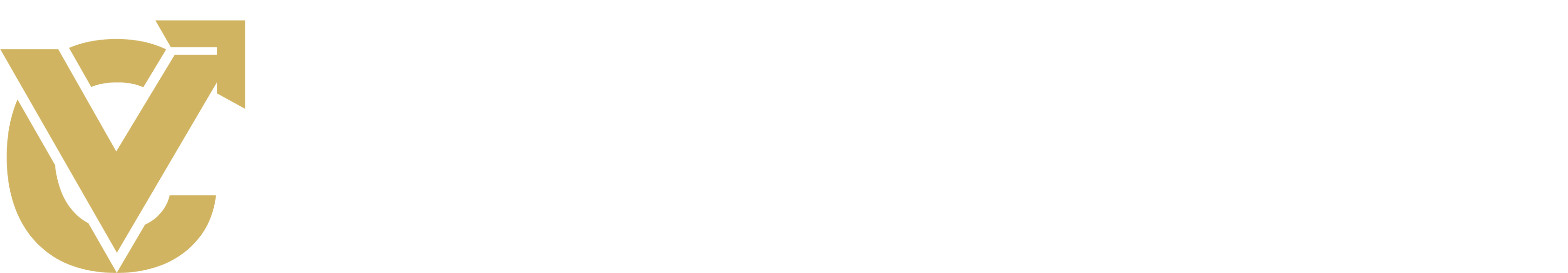 Coinvote wordmark banner